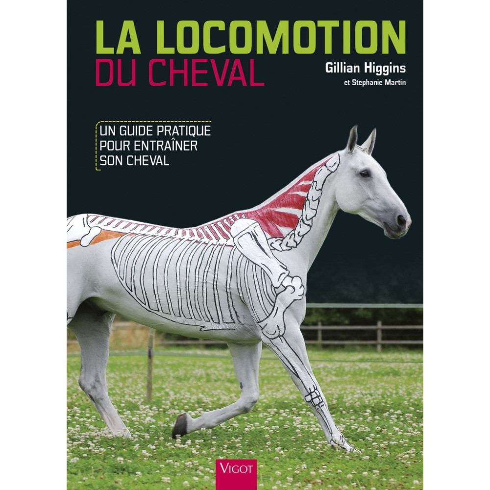 La Locomotion Du Cheval Guide Complet