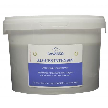 Algues Premium Intense Cavasso 2,5 kg