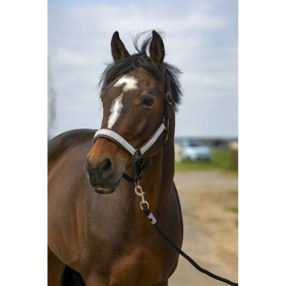 Licol Strass Pony avec muserolle décoré d'un mors