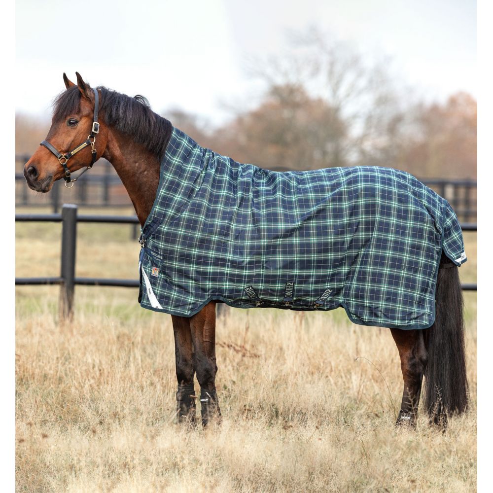 Couverture d'extérieur All Weather imperméable 150G Kentucky - Cheval