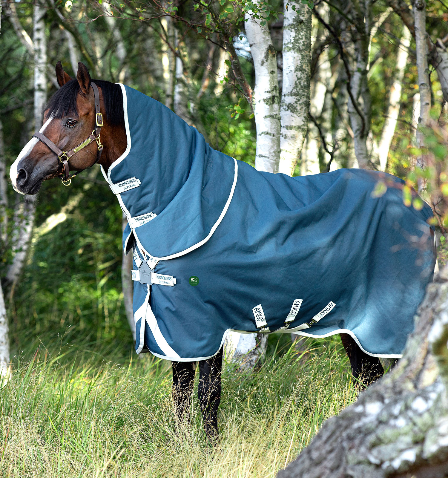 Couverture Horseware Amigo AmEco 12 Plus 0g 1200D Sarcelle / gris Bleu Couverture Horseware Amigo AmEco 12 Plus 0g 1200D Sarcelle / gris Bleu