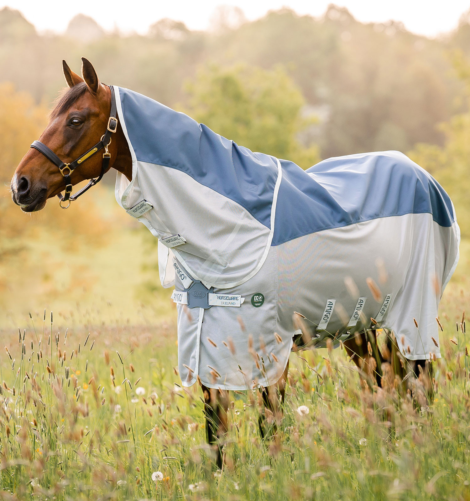 Couverture anti-mouches Horseware Amigo AmECO Combi 0g Sarcelle / gris Bleu Couverture anti-mouches Horseware Amigo AmECO Combi 0g Sarcelle / gris Bleu