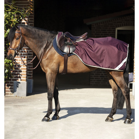 Couvre-reins Horseware Amigo Competition Ripstop Figue / marine