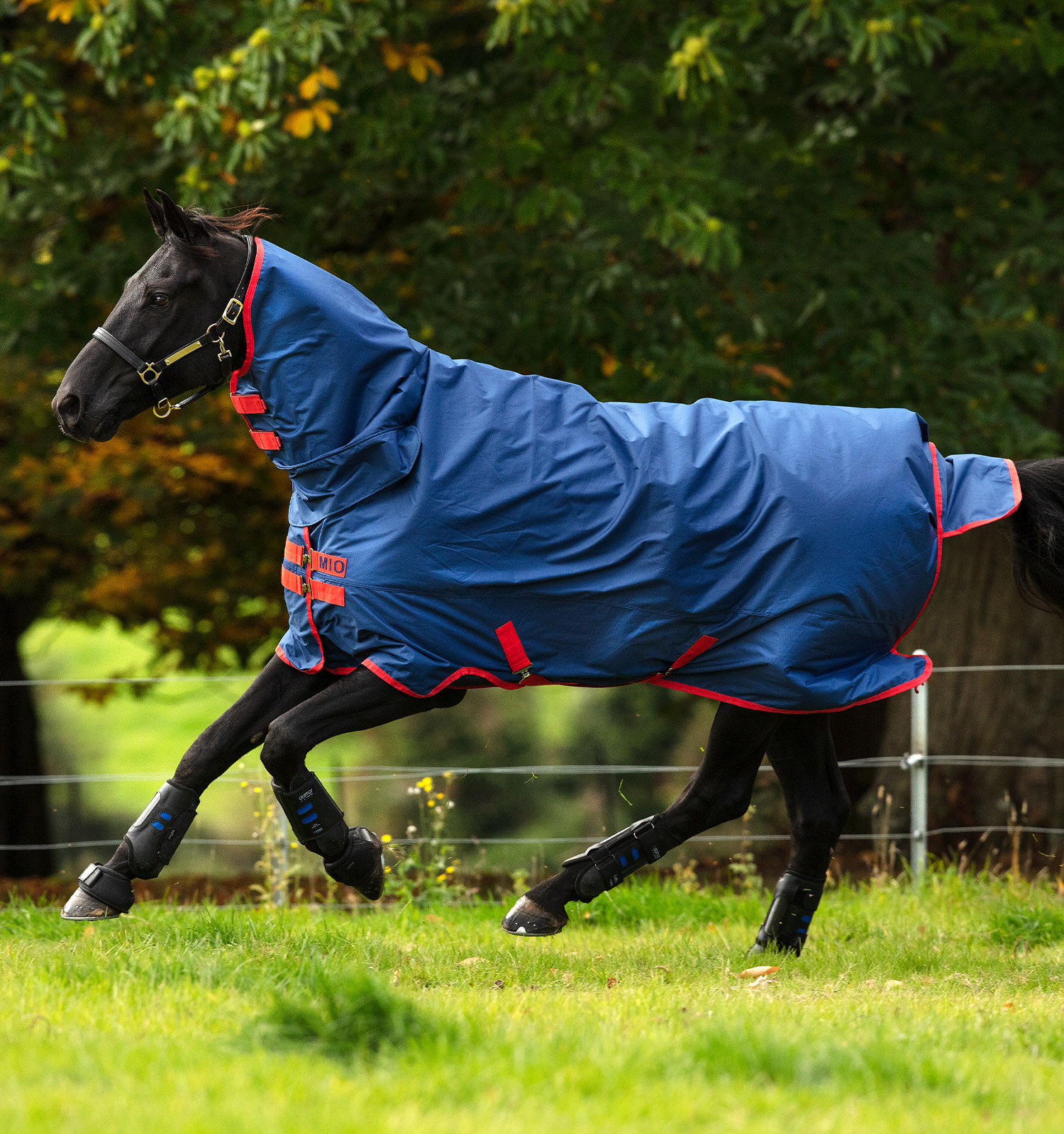 Couverture Horseware Mio All-in-One 350g