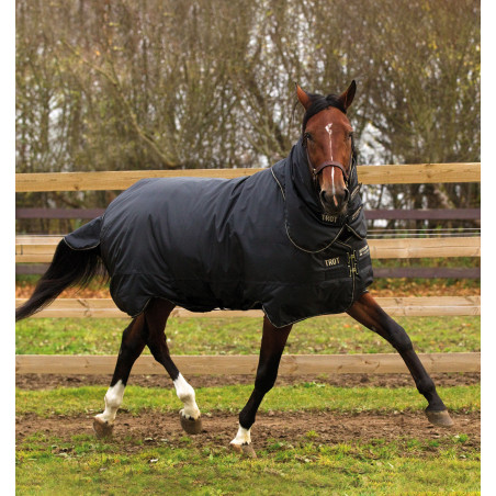 Couverture Horseware Trot Plus avec couvre-cou 350g Noir / noir / tan