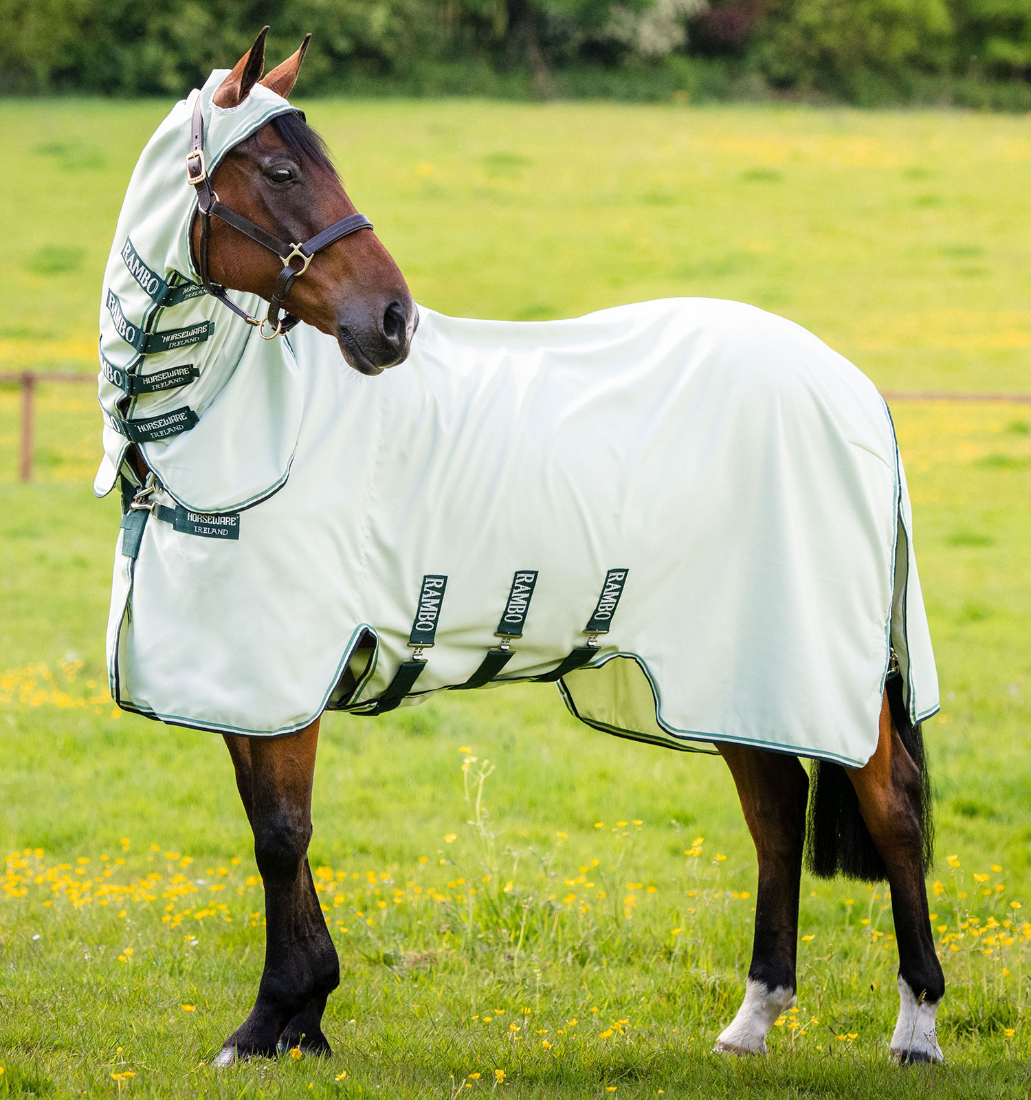 Couverture intégrale Horseware Rambo Hoody 0g Vert / sauge