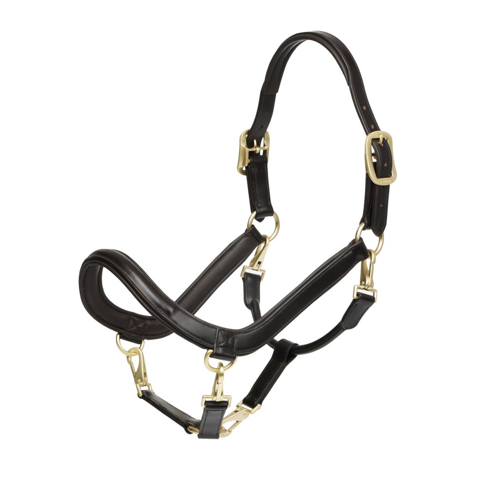 LeMieux Gants D'Équitation Enfant - Cuir Synthétique Respirant, Antidérapant & Tactile