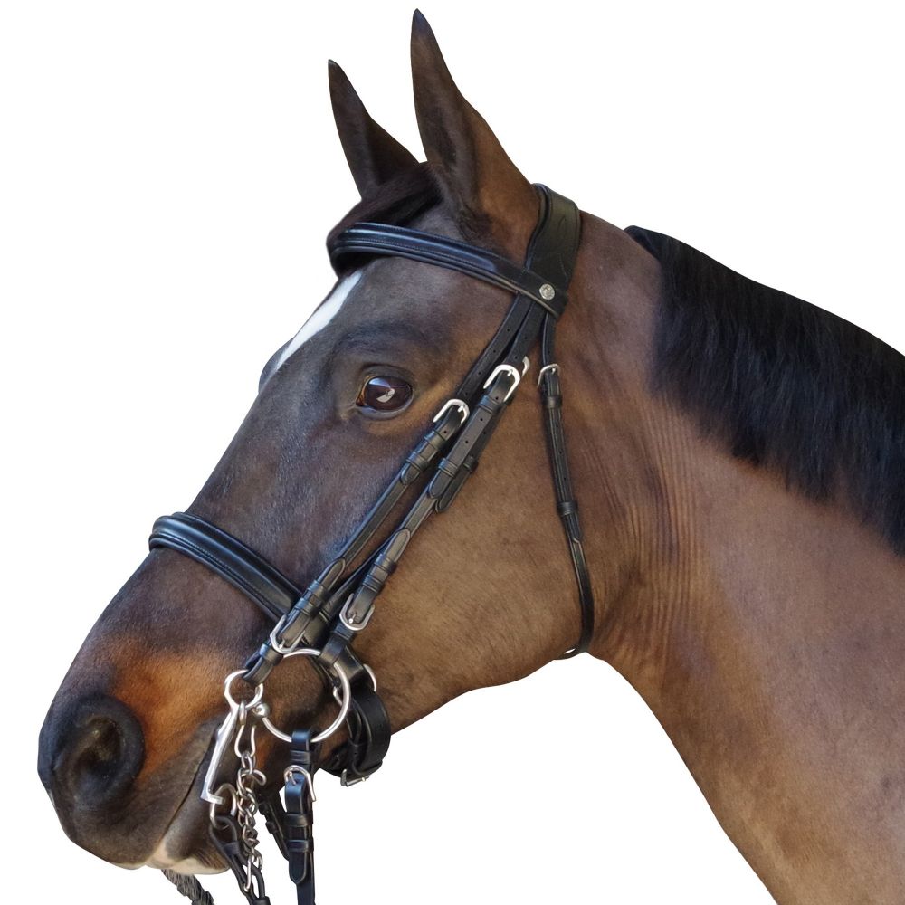 Bride De Dressage Leaders En Cuir Avec Flash - Taille Cheval, Couleur Marron Et Rose