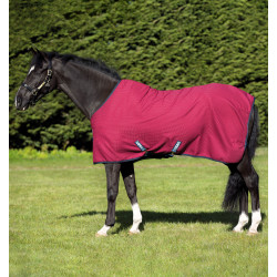 Couverture de box Rambo Cosy Horseware, sellerie Horse and Co