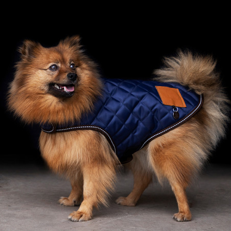 Manteau pour chien HV Polo Bobby Bleu marine