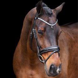 Guêtres de dressage doublées mouton Imperial Riding Classic – En