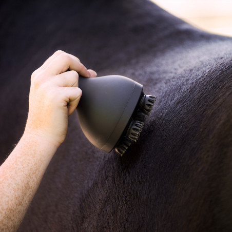 Appareil de massage cheval Imperial Riding Volta Grooming & Relaxation Noir