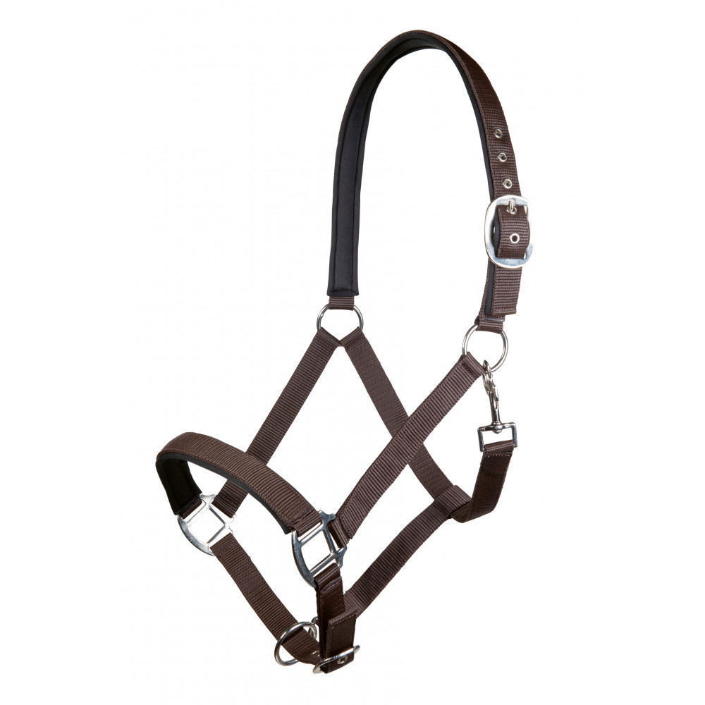 Licol pour cheval HV Polo Franka - brown-beige - Poney Licol pour cheval HV Polo Franka - brown-beige - Poney