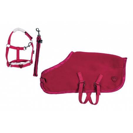 Set de démarrage Cuddle Pony HKM