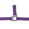Licol Stars HKM - Lilas