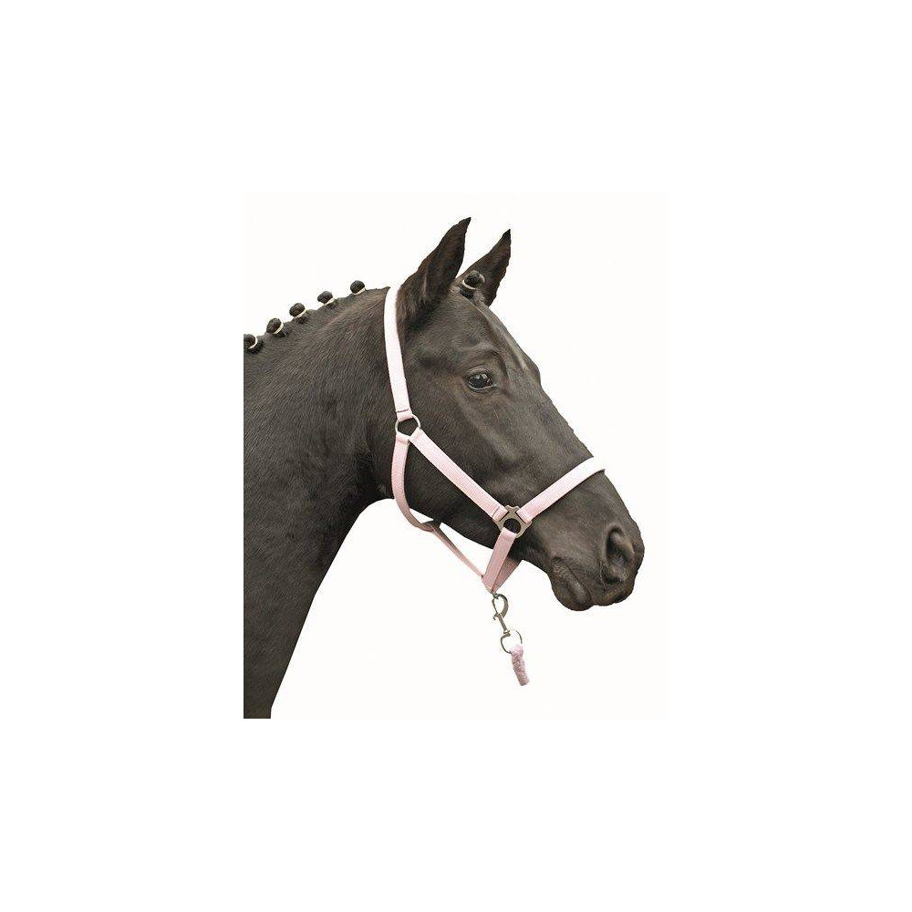 HKM Licol Stars Softice Néon Orange