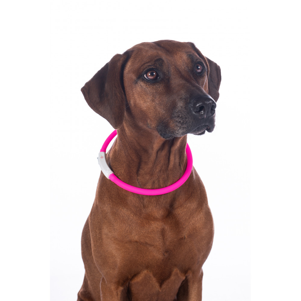 Collier Lumineux LED Pour Chevaux HKM - Étanche, Rechargeable USB, Modes Clignotant/continu, Autonomie 3h