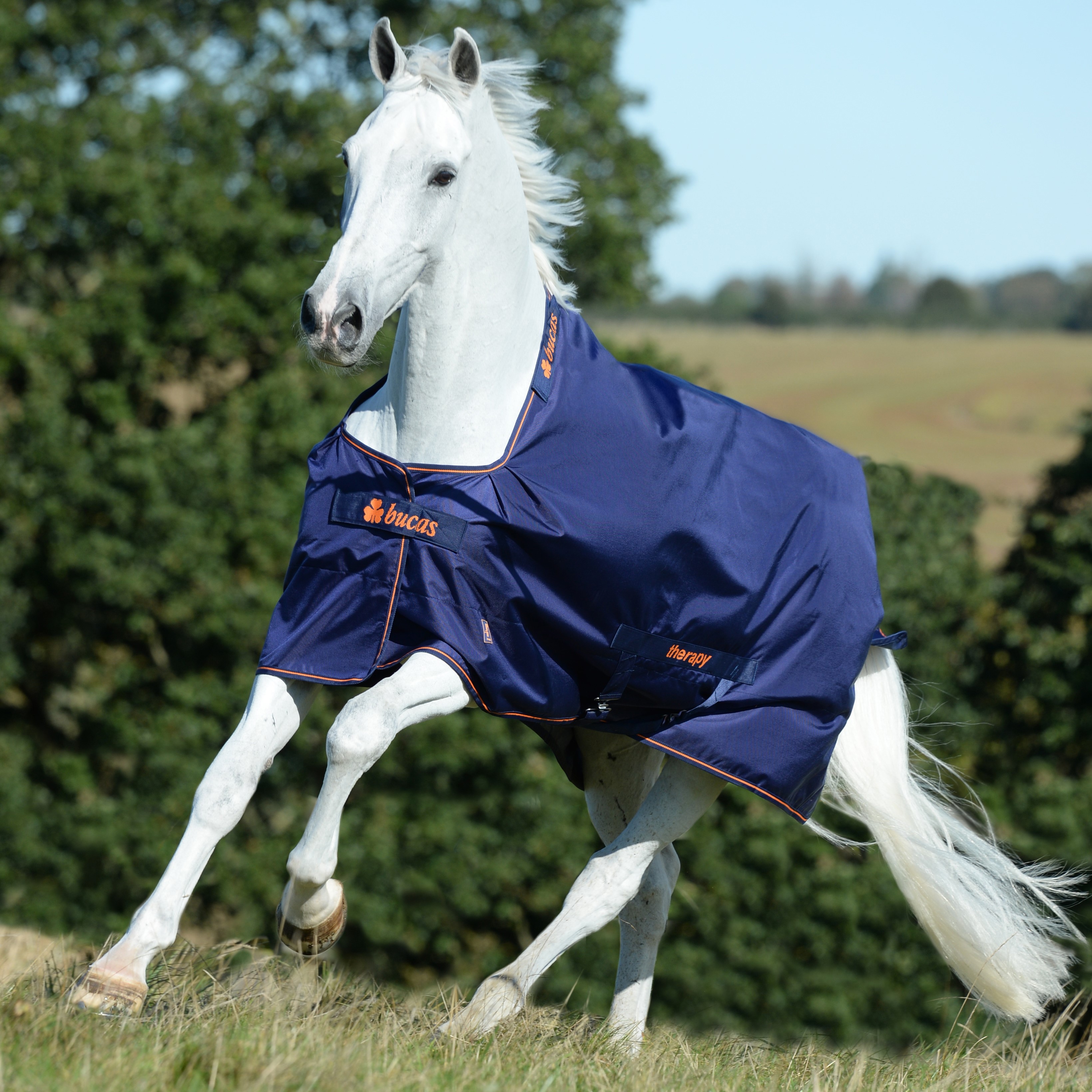 Couverture Bucas Therapy Turnout 150g 1680D Marine / orange Bleu