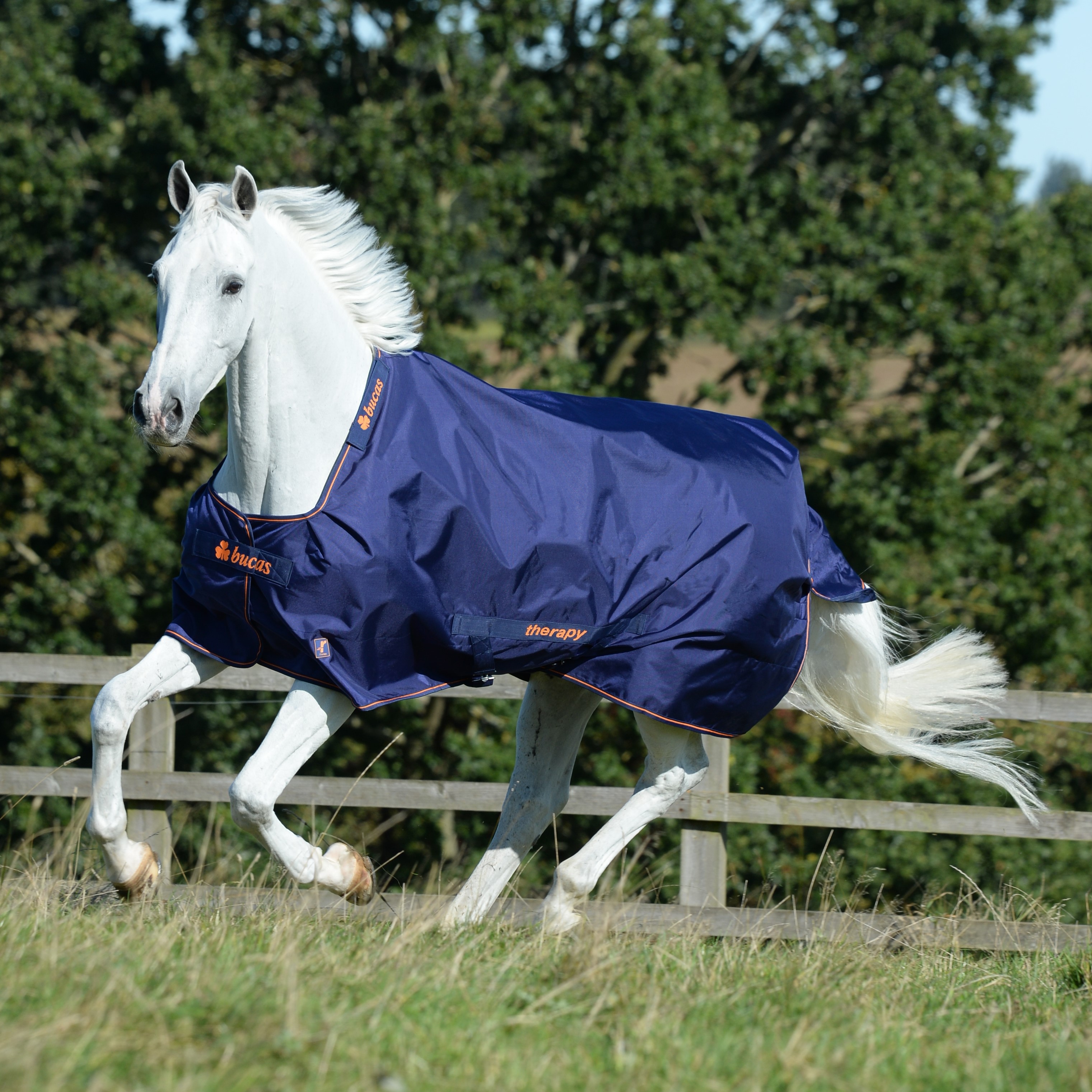 Couverture Bucas Therapy Turnout 150g 1680D Marine / orange Bleu