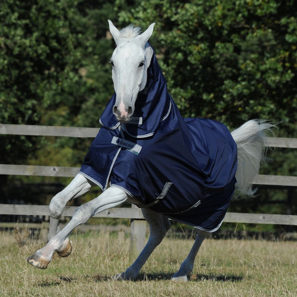 Drap De Pluie Bucas Pour Poney – Taille Poney – Bleu – Léger Et Imperméable