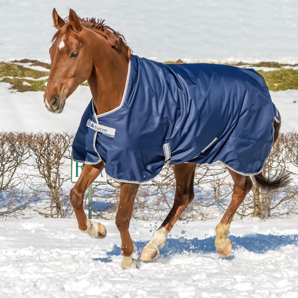 Drap De Pluie Bucas Pour Poney – Taille Poney – Bleu – Léger Et Imperméable