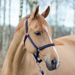 Licol pour chevaux avec tricot | Licol pour cheval | Licol poney, plein  sang, Full, X-Full avec tricot (bleu, poney)
