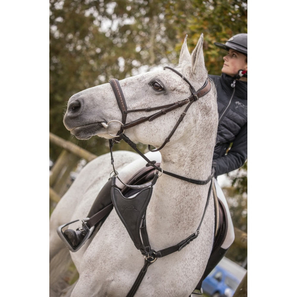 Collier De Chasse Avec élastique Large Et Martingale HKM