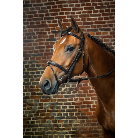 Bridon Muserolle Combinée Dy'on D Collection