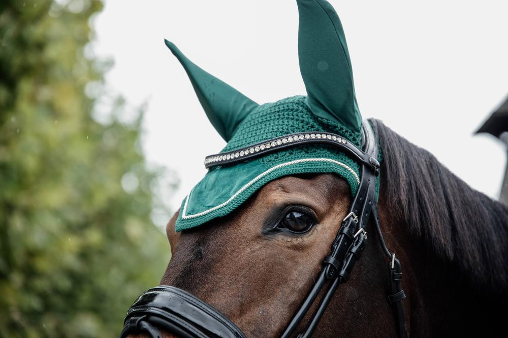Bonnet Wellington Velvet Kentucky Bordeaux Bonnet Wellington Velvet Kentucky Bordeaux