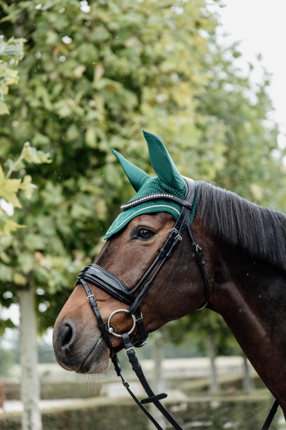 Bonnet Wellington Velvet Kentucky Bordeaux Bonnet Wellington Velvet Kentucky Bordeaux