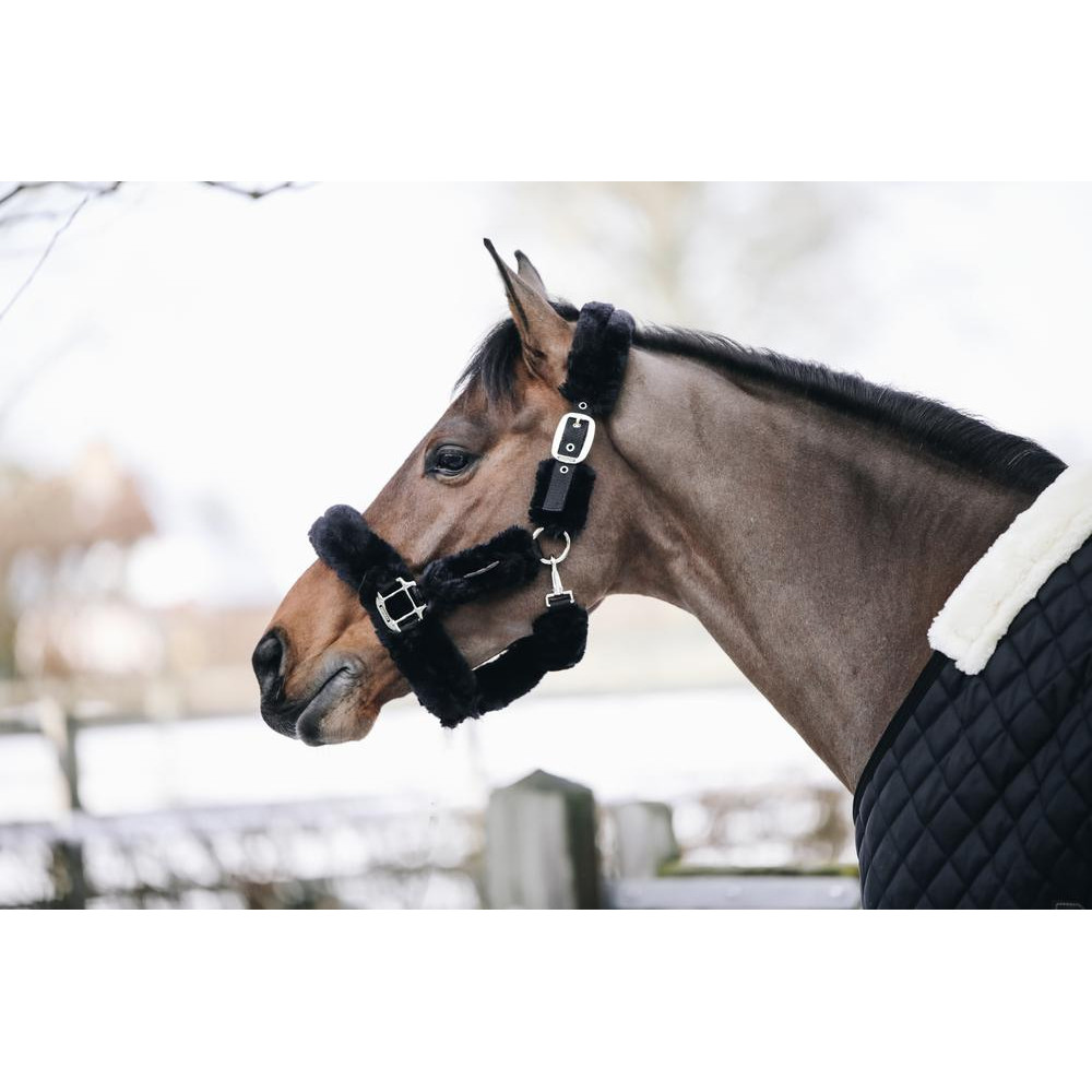 Licol De Transport Kentucky - Gris - Laine Vegan - Pour Chevaux - Confort Et Sécurité