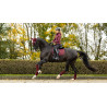 Tapis LeMieux Crystal Suede Dressage - Bordeaux