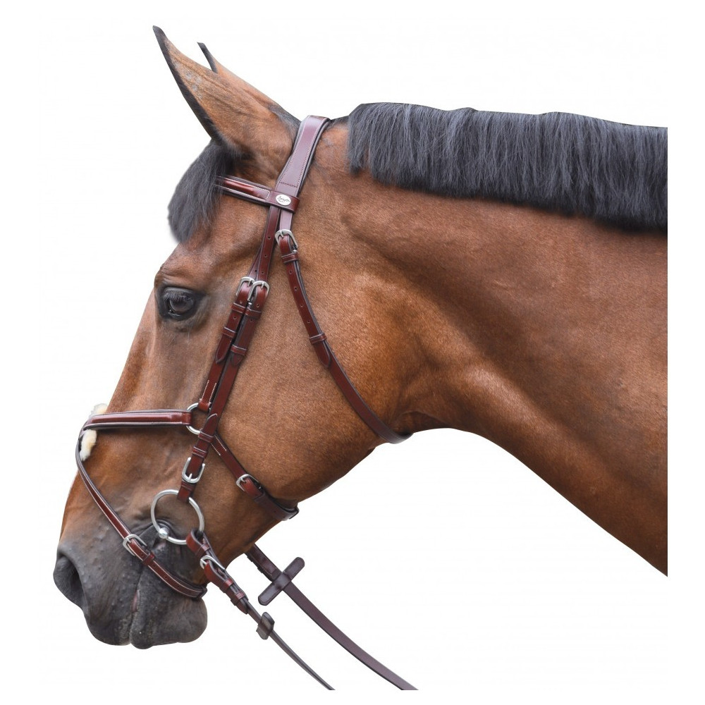 Ensemble de cheval de loisir : bride en cuir (PU) et collier de chasse avec frontal pailleté et rênes. SUR MESURE - sans cheval. - Canada