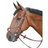 Bridon Lexington Denver Croise - Marron