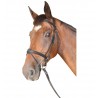 Bridon Cabourg Combiné Privilege Equitation - Marron