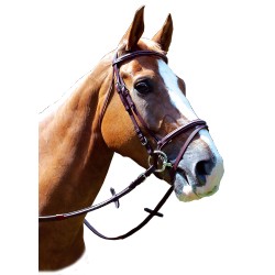 Bride Monaco Privilege Equitation, sellerie Horse and Co