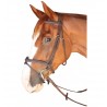 Bridon Dinard Combiné Privilege Equitation - Noir