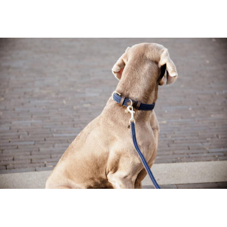 Laisse pour chien Plaited Nylon 120 cm Kentucky