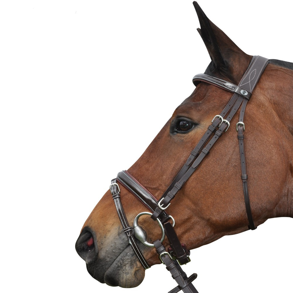 Bridon Royan Combiné Privilege Equitation pour Cheval et Poney