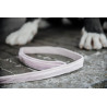 Laisse pour chien Velvet 120 cm Kentucky - Rose pâle