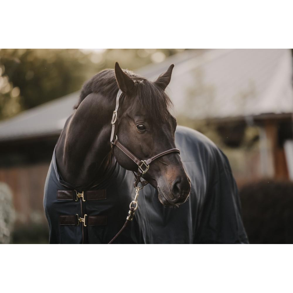 Bonnet Anti-mouches Pour Cheval – Festonné – Bleu Marine – NEUF