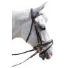 Bridon Pull Back Euro Canter - Marron