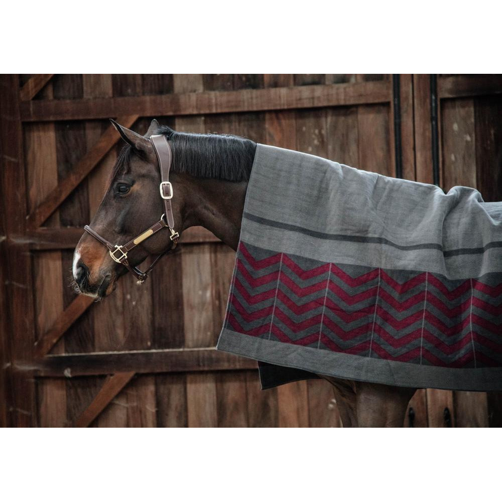 Couverture de participation Shires Typhoon 100 g Couverture de participation Shires Typhoon 100 g