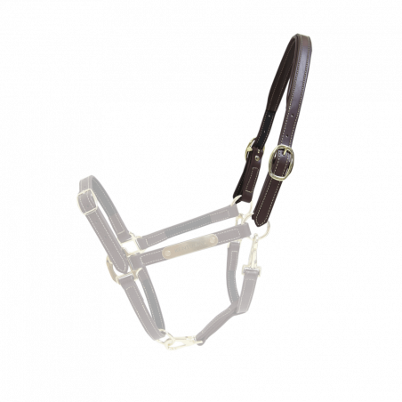 Têtière pour Licol Flexible Kentucky