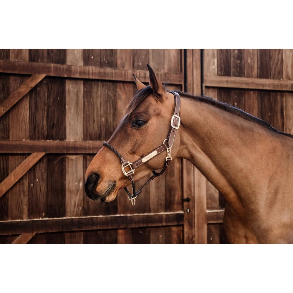 Chaines, fabricant de chaines - CHAINES