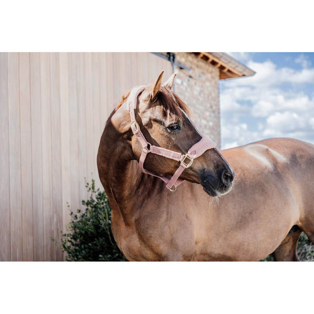 Chaînes à Talons Pour équitation – 8 Maillons Chromées – Matériel D’attelage Cheval