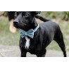 Noeud Papillon Velvet Kentucky - Bleu clair
