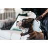 Collier pour chien en Perles faites-main Kentucky - Argent