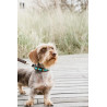 Collier pour chien en Perles faites-main Kentucky - Bleu clair
