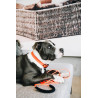 Collier pour chien Soft Rubber Kentucky - Neon orange